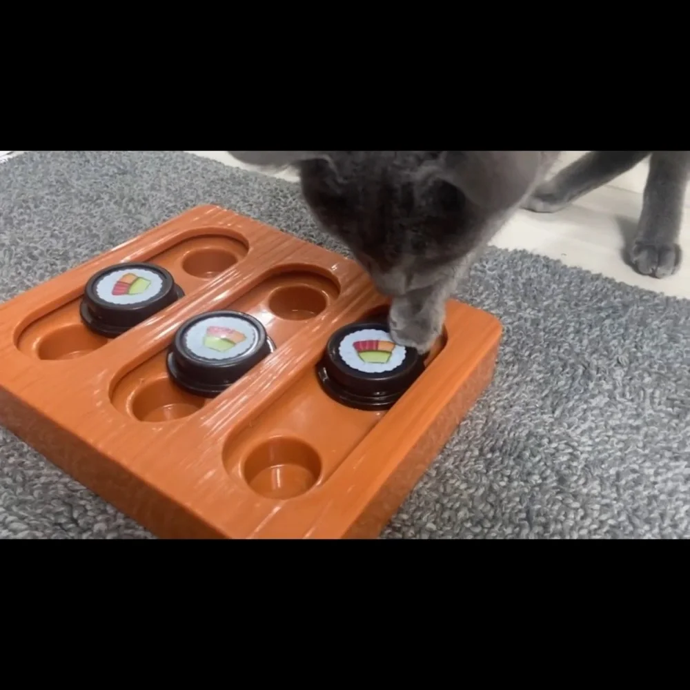 Quirky Kitty 🍱 Sushi Hunter Bento Box Puzzle